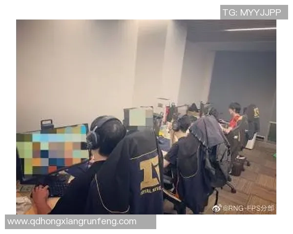 赛后分析:RNG与V5在团队协作中的优劣势对比与启示