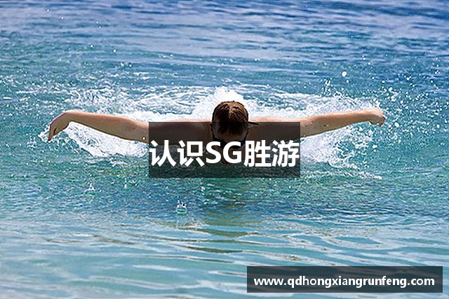 认识SG胜游